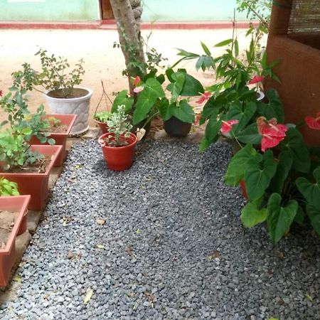 Pawansa Home Stay 哈伯勒内 外观 照片