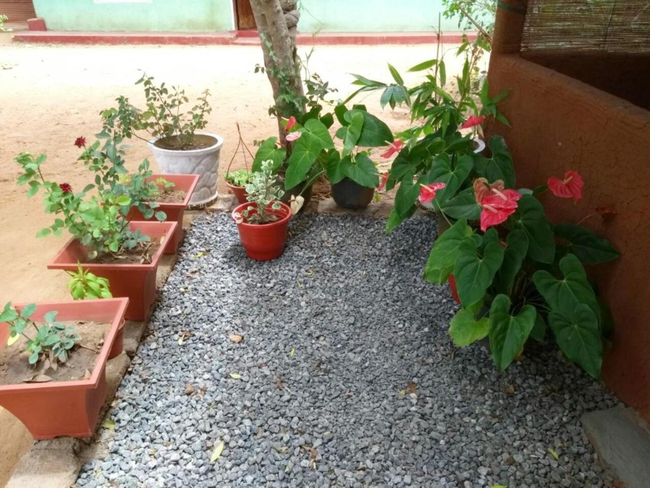 Pawansa Home Stay 哈伯勒内 外观 照片